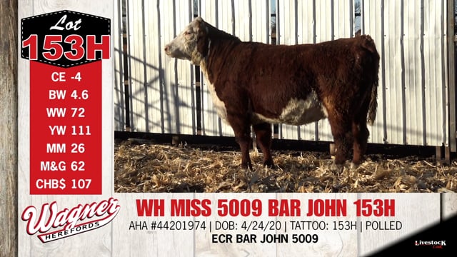 Lot #153H - WH MISS 5009 BAR JOHN 153H
