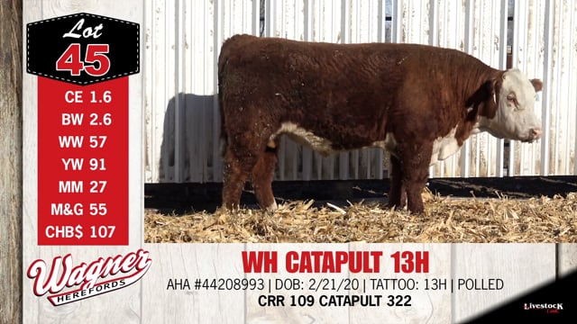 Lot #45 - WH CATAPULT 13H