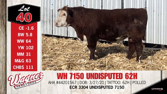 Lot #40 - WH 7150 UNDISPUTED 62H
