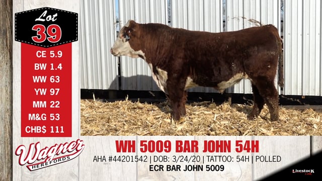 Lot #39 - WH 5009 BAR JOHN 54H