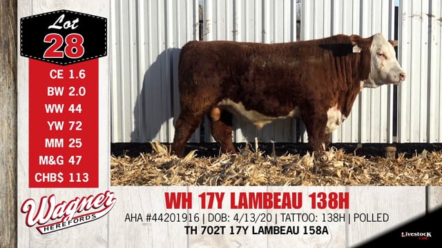 Lot #28 - WH 17Y LAMBEAU 138H