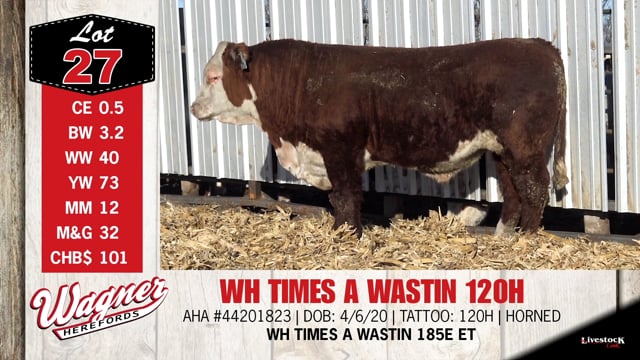 Lot #27 - WH TIMES A WASTIN 120H