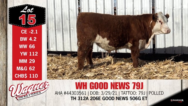 Lot #15 - WH GOOD NEWS 79J