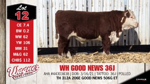 Lot #12 - WH GOOD NEWS 36J