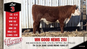 Lot #3 - WH GOOD NEWS 26J