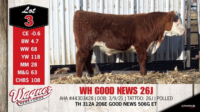 Lot #3 - WH GOOD NEWS 26J