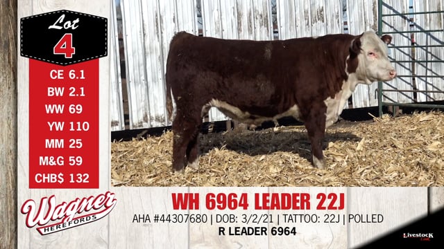 Lot #4 - WH 6964 LEADER 22J