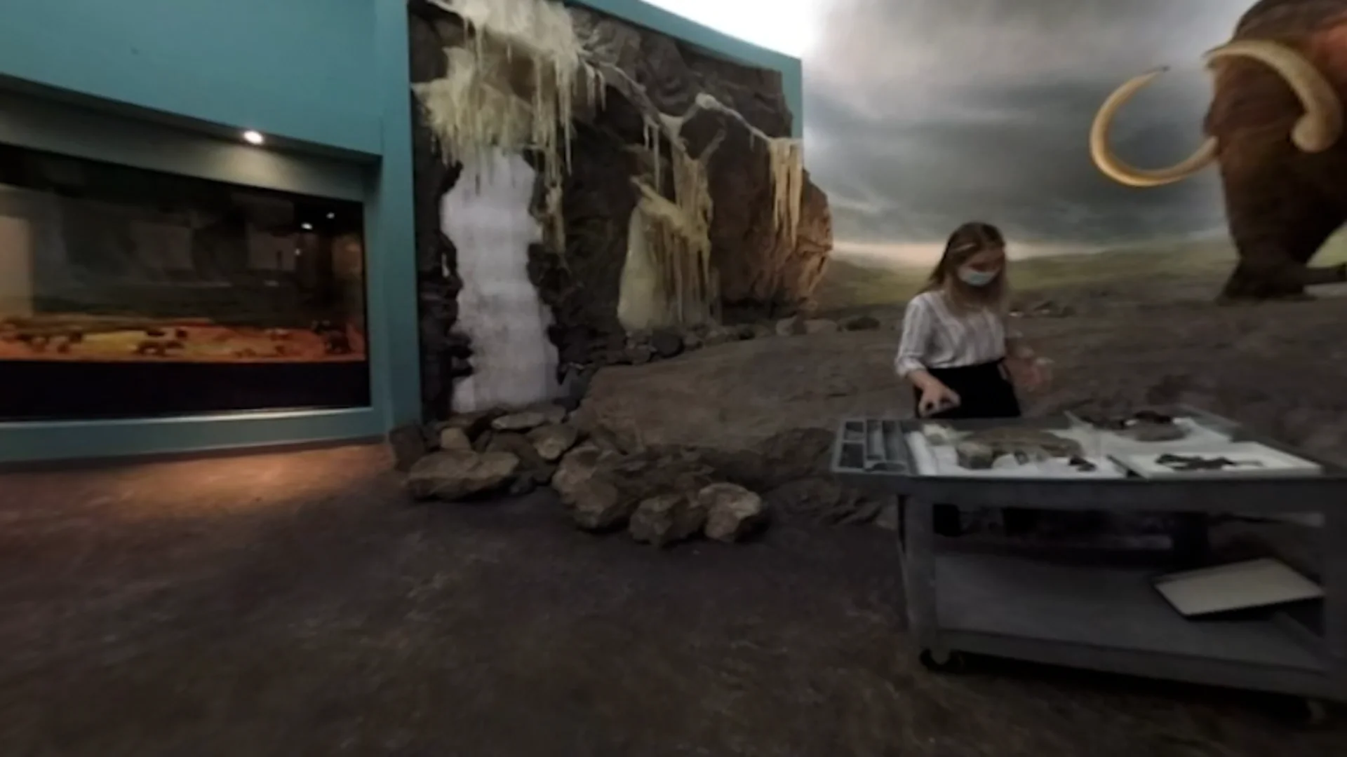 Whales in the Cliff Face | Hakai Magazine