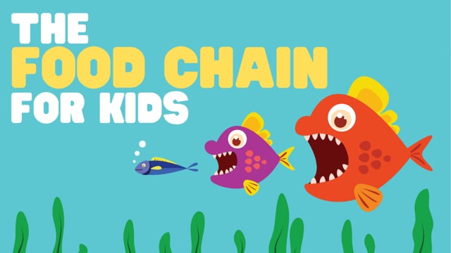 Vimeo Thumbnail