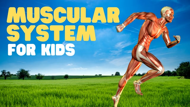 Vimeo Thumbnail