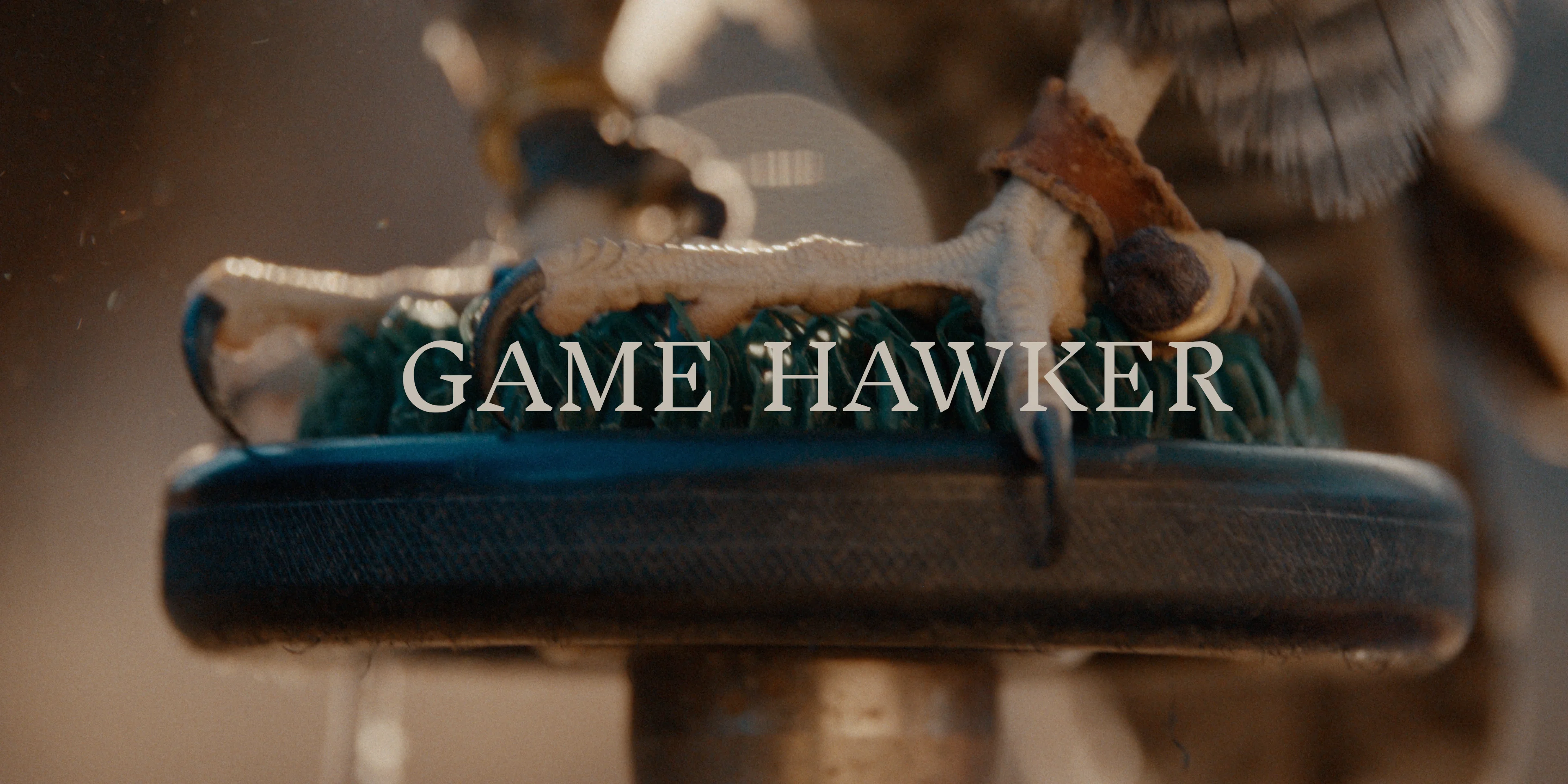 Game Hawker // Trailer on Vimeo