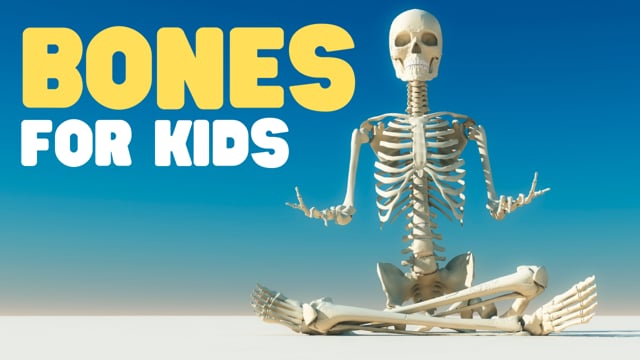 Vimeo Thumbnail