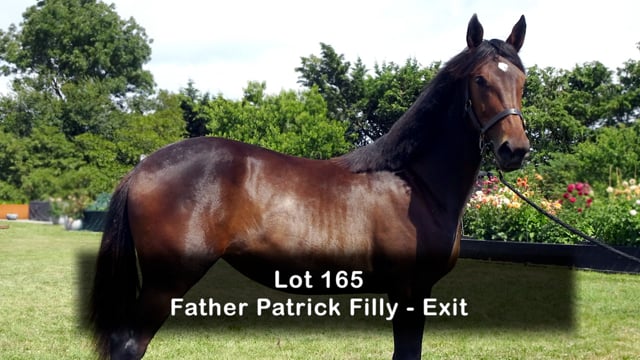 Lot 165