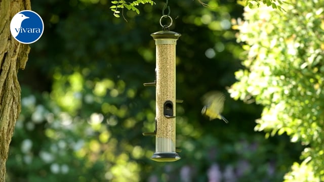 310960119 - ApolloSeedFeeder5Ports.mp4