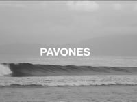 51 BBQ Only Girls Pavones - Janeiro 2022 - episódio 1
