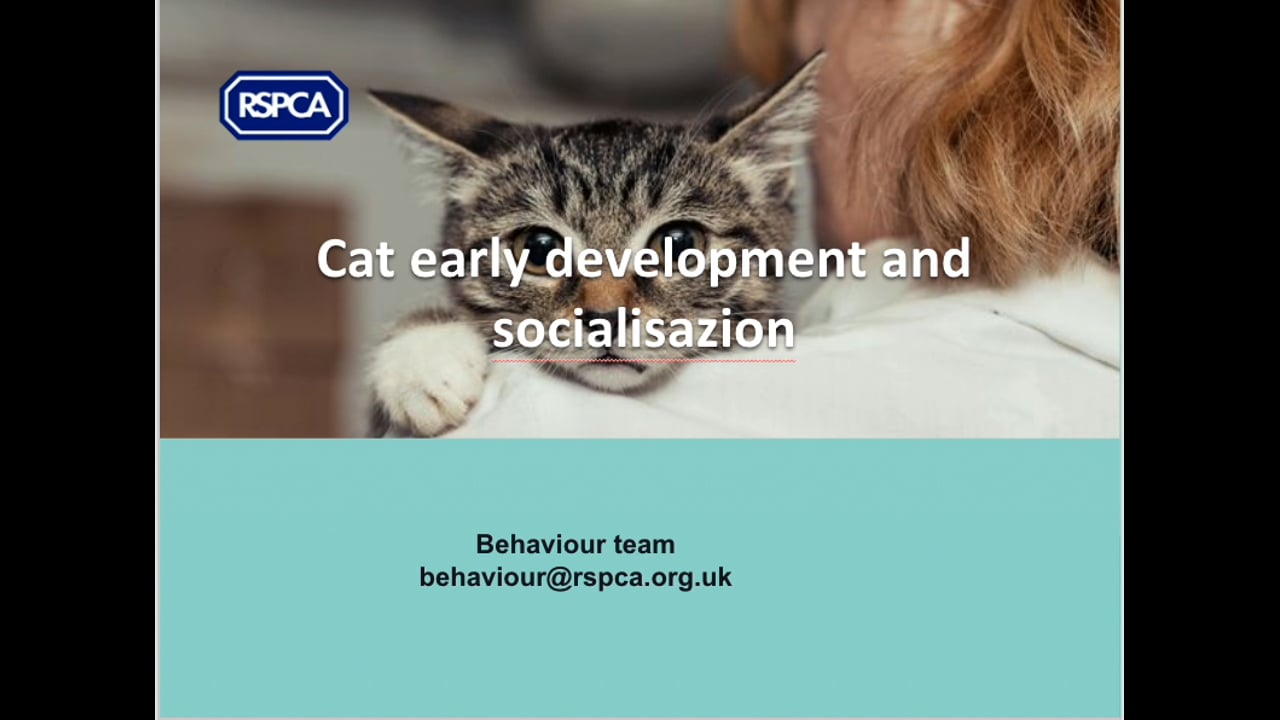 Cat development and socialisation - RSPCA Staff Contributors