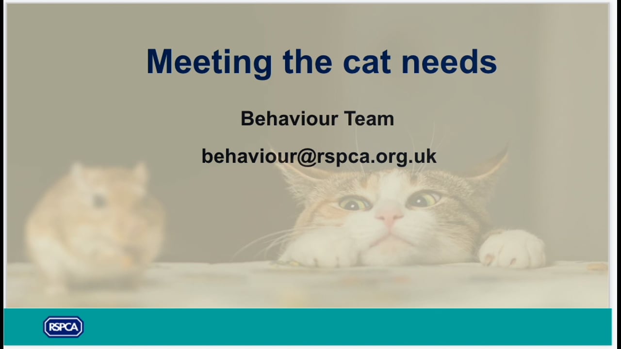 Meeting the needs of cats - RSPCA Staff Contributors