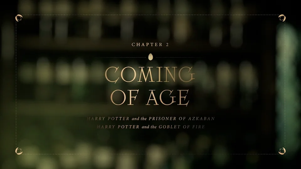 Watch the trailer for Harry Potter 20th Anniversary: Return to