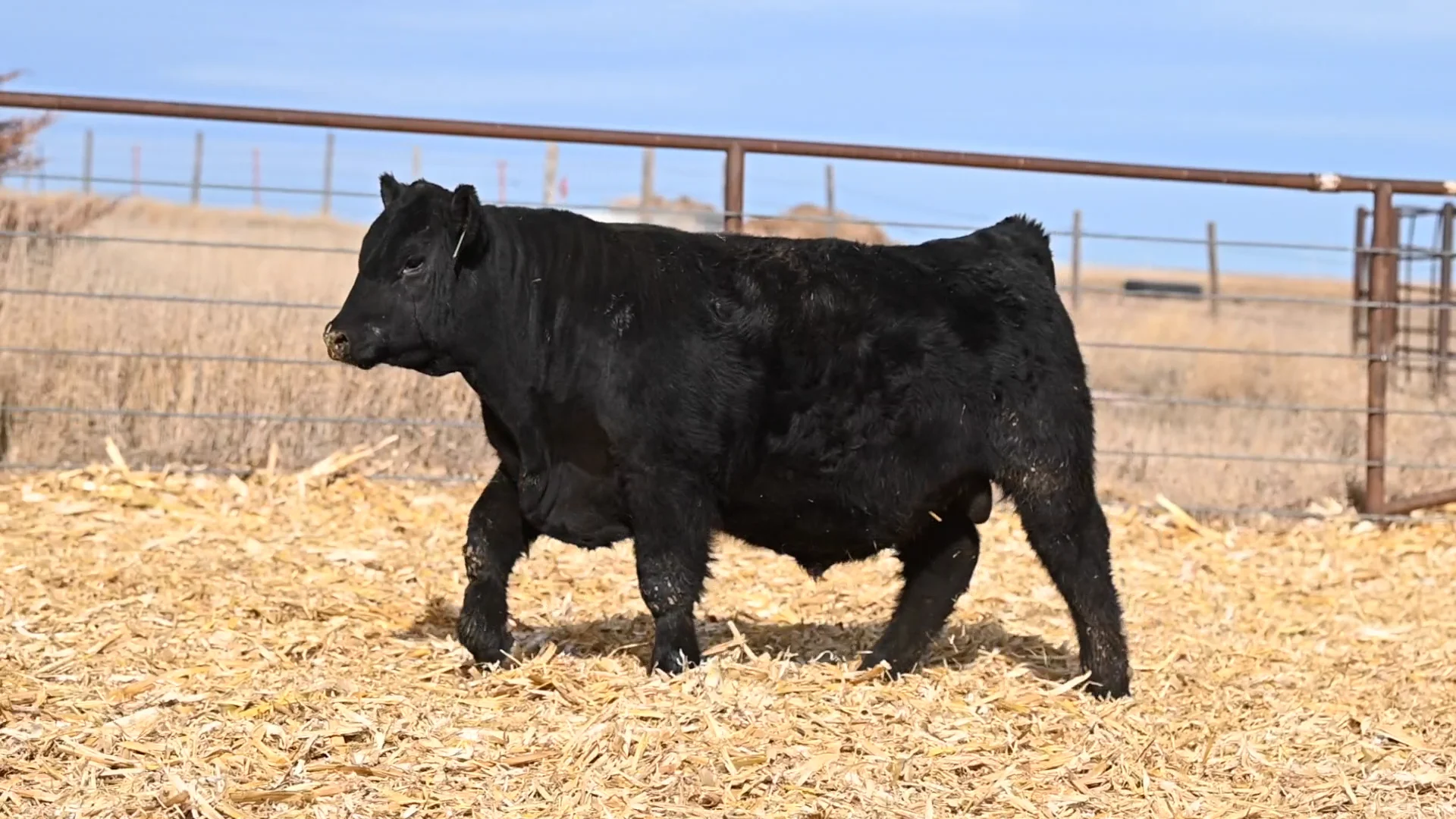 Lot 232 on Vimeo