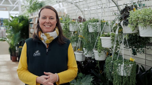 How to Grow, Propagate & Take Care of “String of” Plants