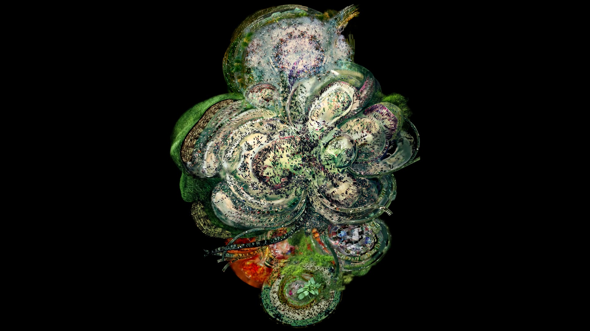 Mycelium