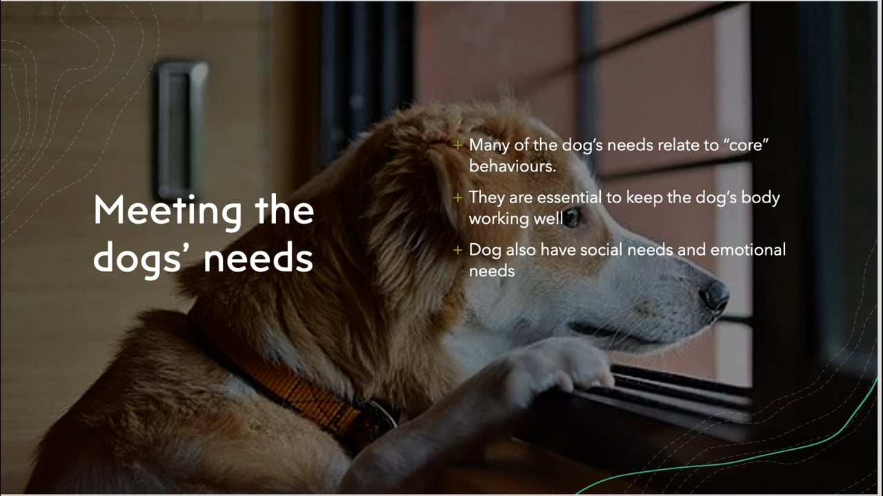 Dog Needs - RSPCA Staff Contributors