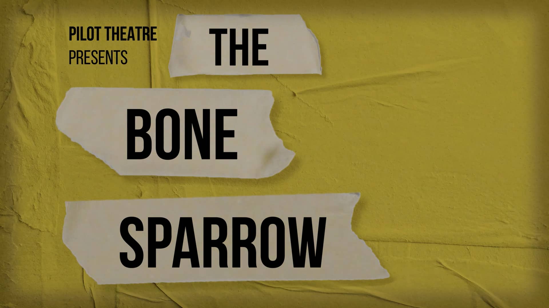 the-bone-sparrow-animated-trailer-on-vimeo
