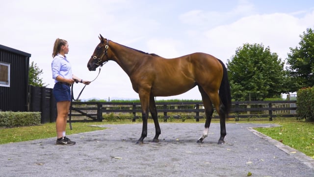 Lot 62