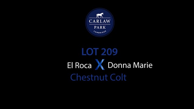 Lot 209