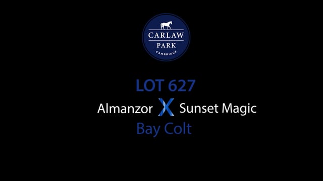 Lot 627