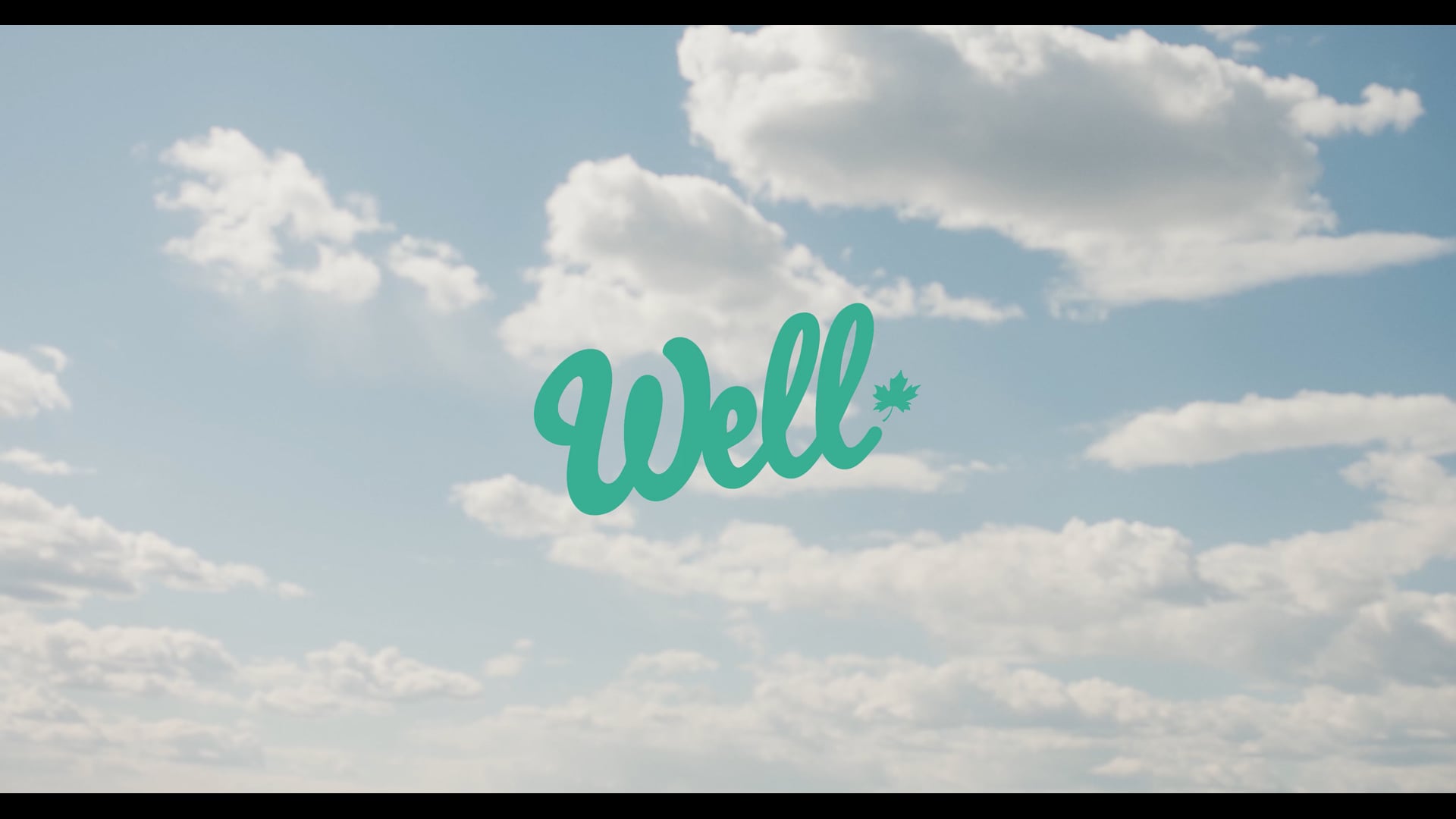 DRINK WELL - HIKE