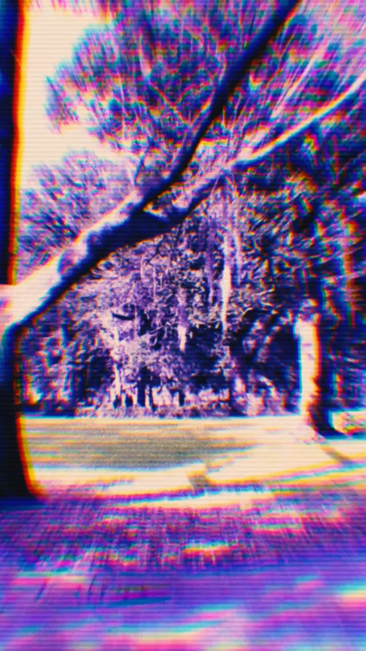 loop on Vimeo