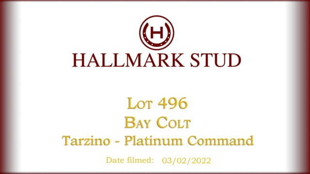 Lot 496
