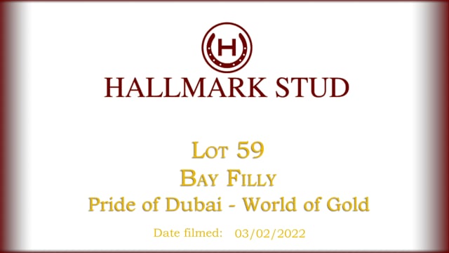 Lot 59