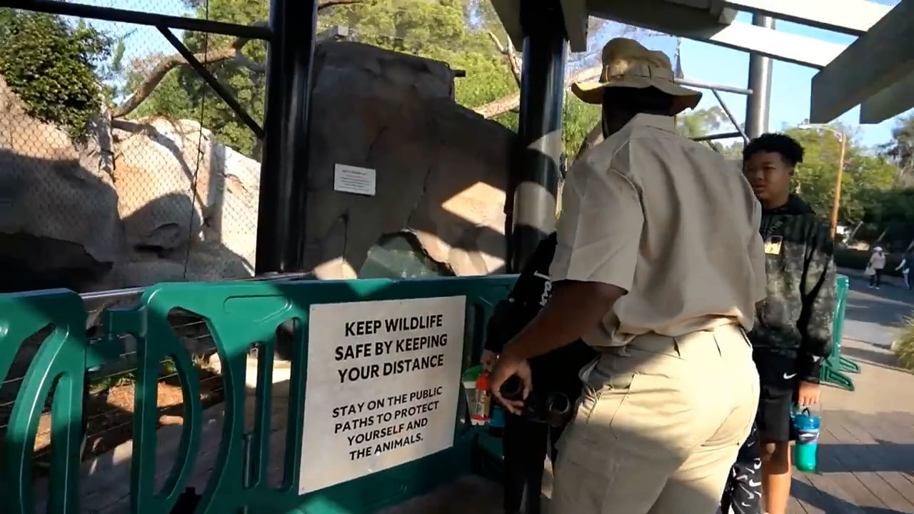 I Survived FaZe Rugging! on Vimeo