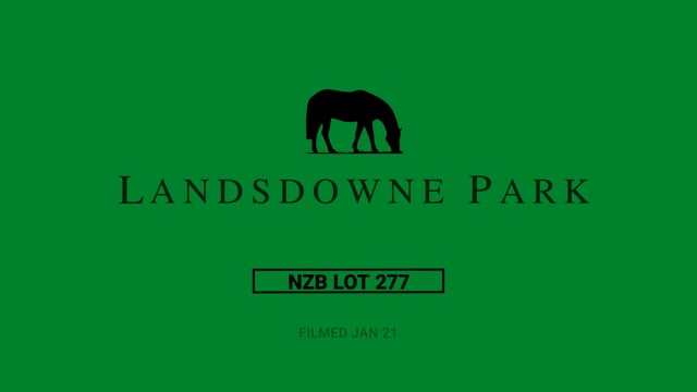 Lot 277