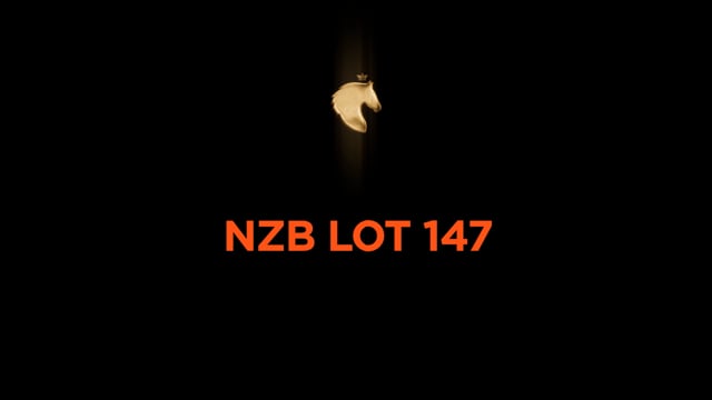 Lot 147