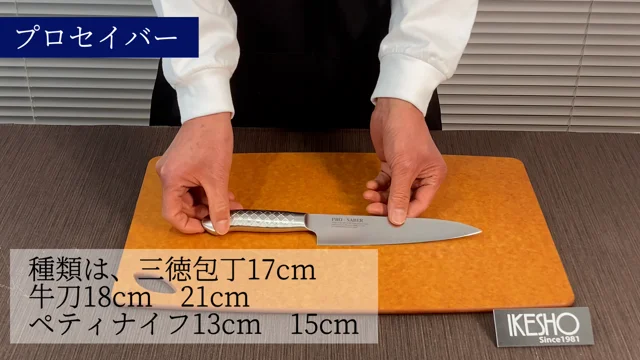 PRO-SABER プロセイバー オールステンレス 牛刀 21cm IKESHO