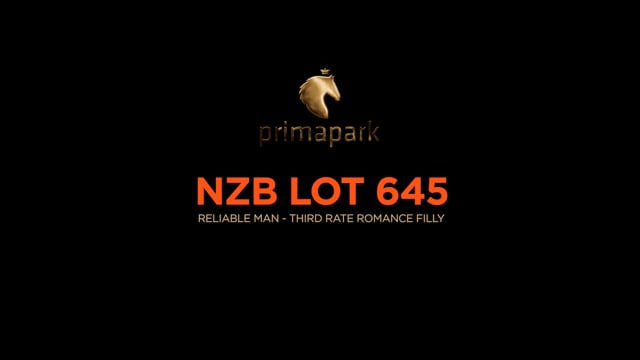 Lot 645