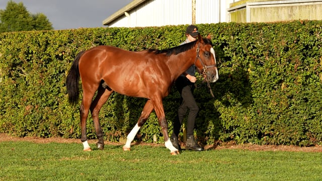 Lot 1057