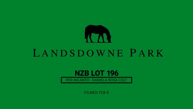 Lot 196