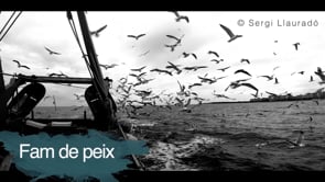 En marxa la segona edició del MedFoto