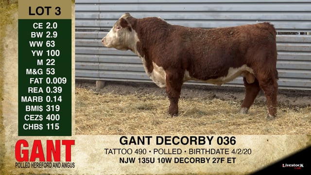 Lot #3 - GANT DECORBY 036
