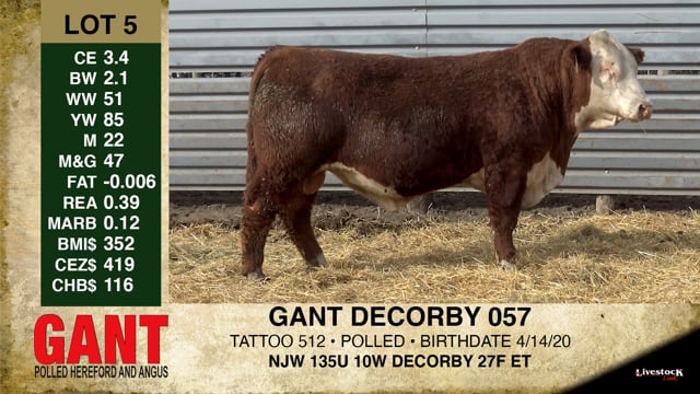 Lot #5 - GANT DECORBY 057