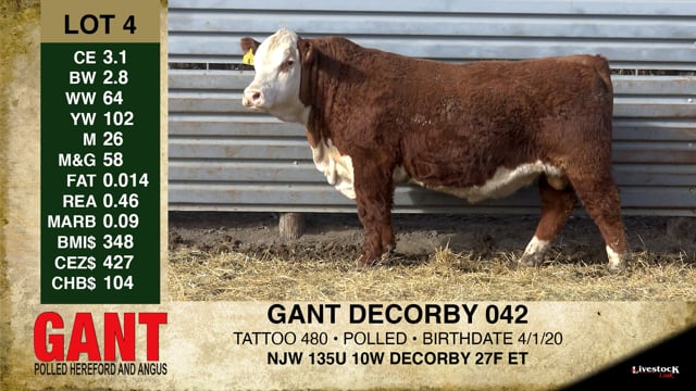 Lot #4 - GANT DECORBY 042