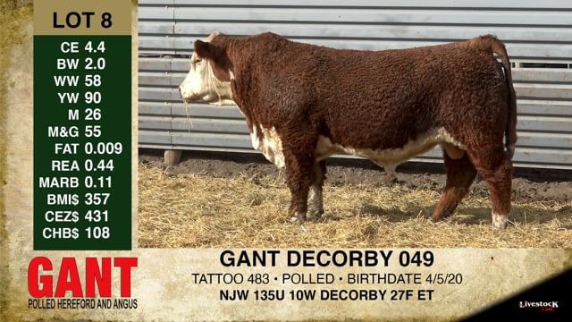 Lot #8 - GANT DECORBY 049