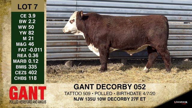 Lot #7 - GANT DECORBY 052