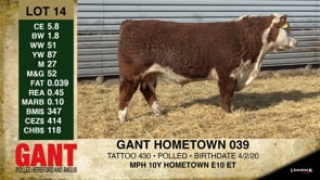 Lot #14 - GANT HOMETOWN 039