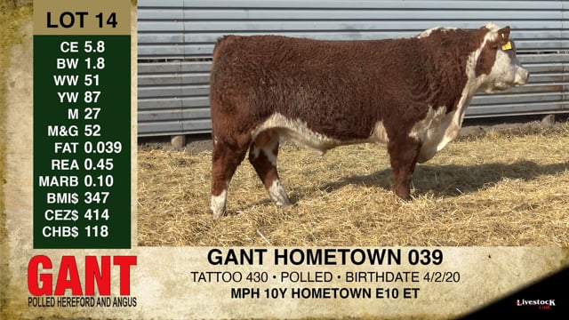 Lot #14 - GANT HOMETOWN 039