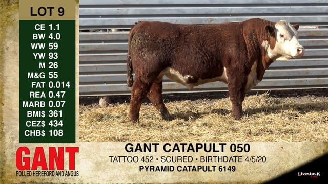 Lot #9 - GANT CATAPULT 050